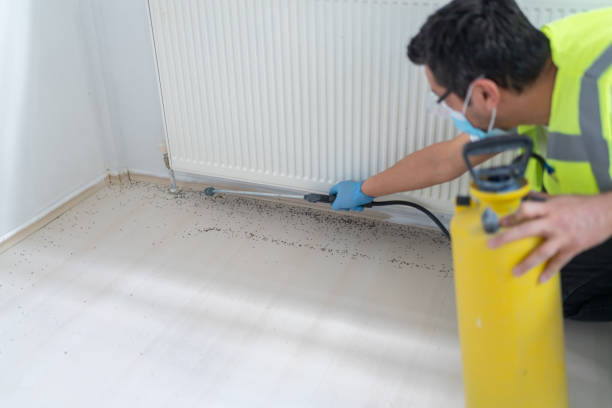 Best Local Pest Control Services  in Shelby, NC