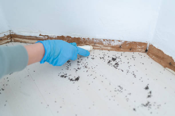 Best Exterminator Services  in Shelby, NC